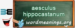 WordMeaning blackboard for aesculus hippocastanum